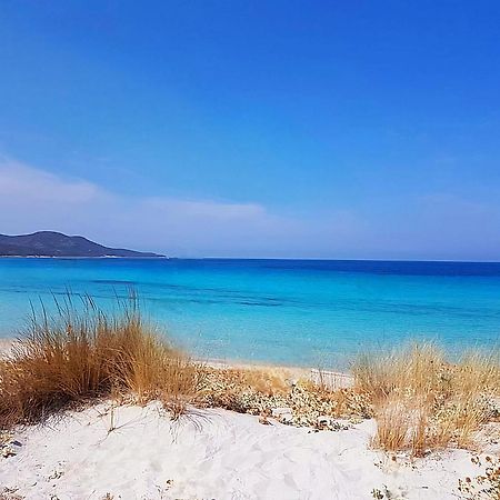Appartement Vue Sur Mer Santa-Maria-di-Lota Buitenkant foto