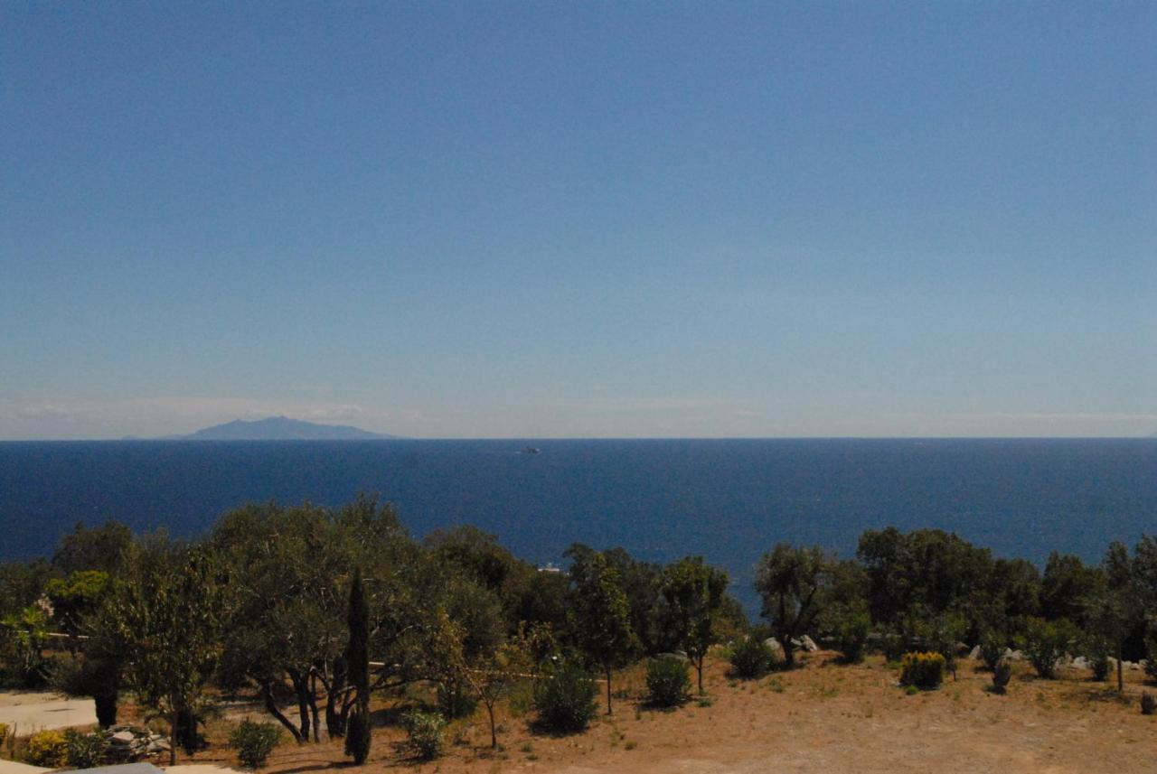 Appartement Vue Sur Mer Santa-Maria-di-Lota Buitenkant foto