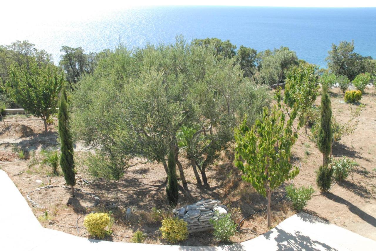 Appartement Vue Sur Mer Santa-Maria-di-Lota Buitenkant foto