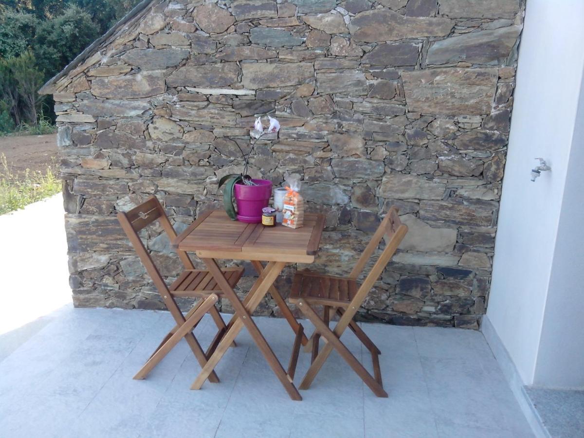 Appartement Vue Sur Mer Santa-Maria-di-Lota Buitenkant foto
