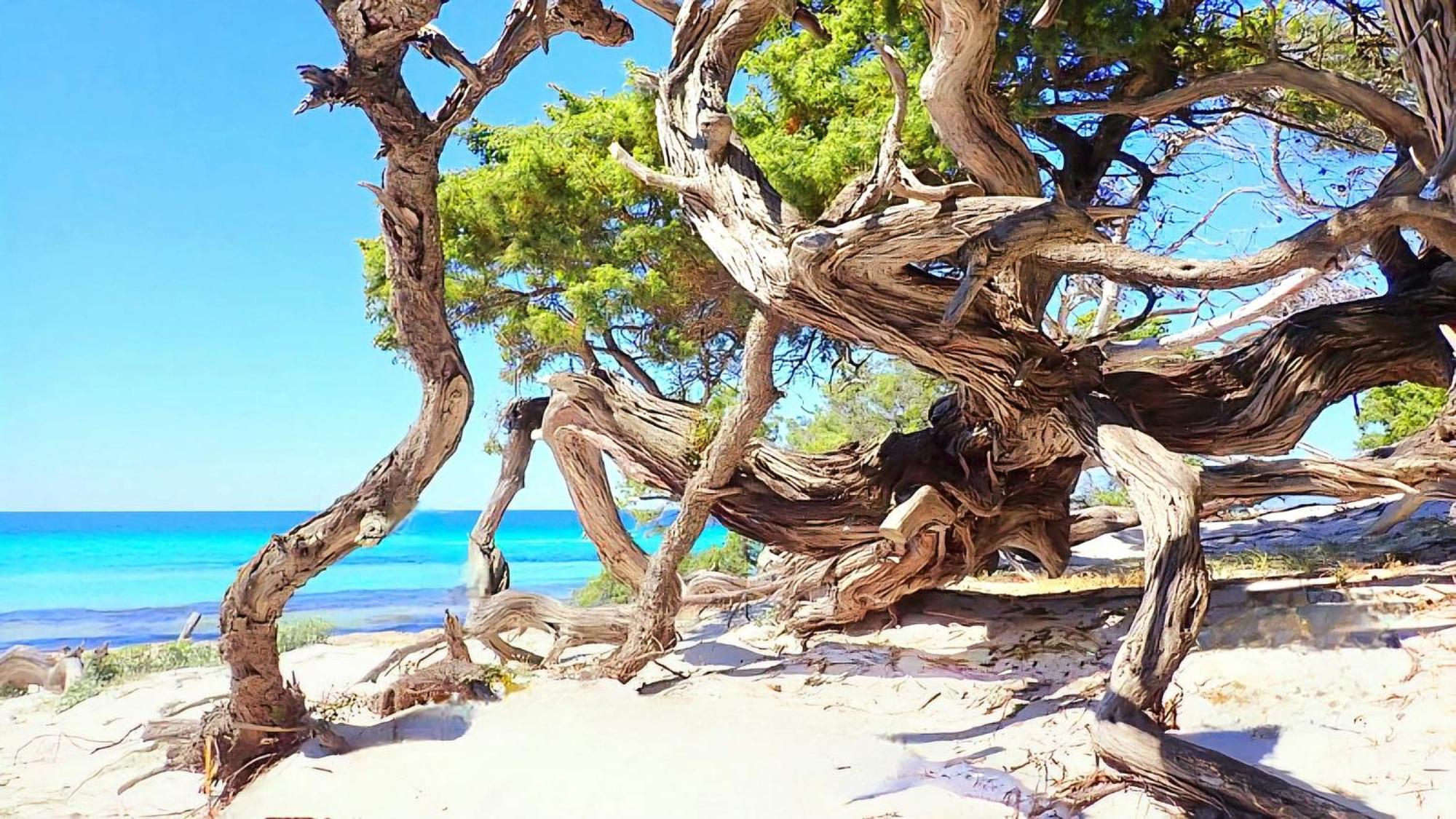 Appartement Vue Sur Mer Santa-Maria-di-Lota Buitenkant foto