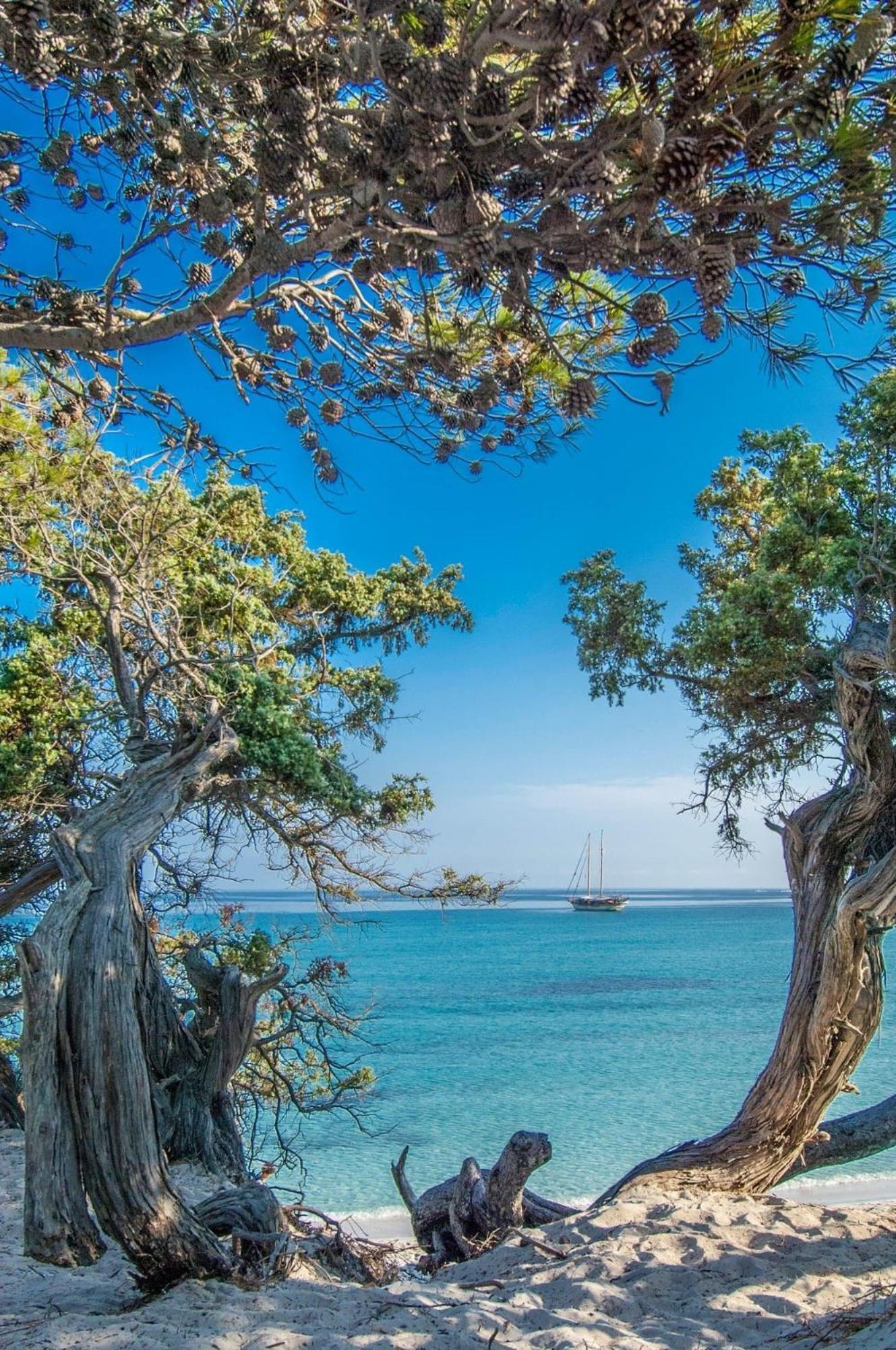 Appartement Vue Sur Mer Santa-Maria-di-Lota Buitenkant foto